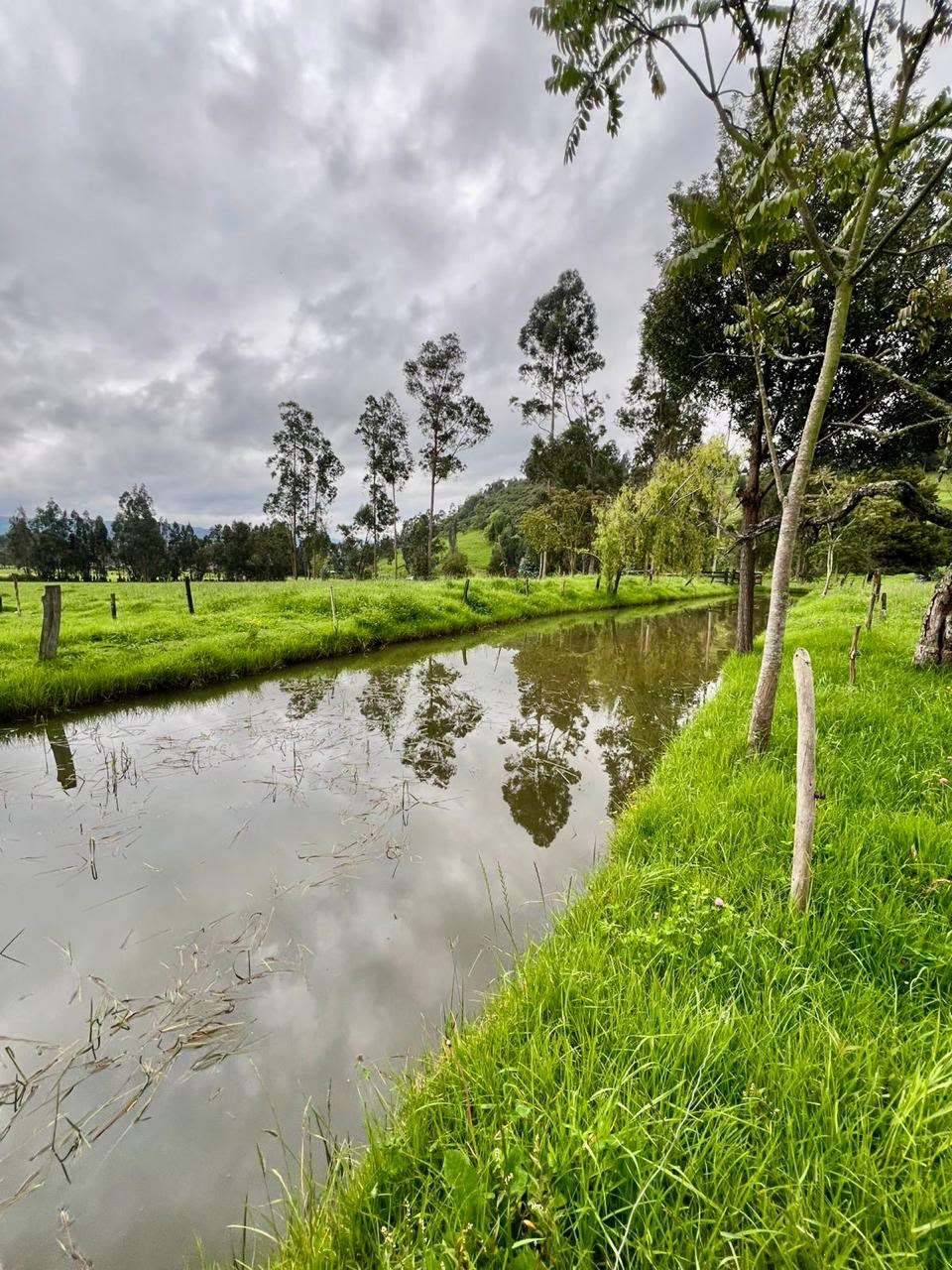 Canal de agua rural junto a una pradera verde y árboles